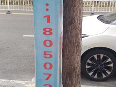 -海之鲜大排档(东山海鲜金銮湾店)