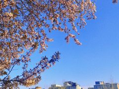 -东升八家郊野公园