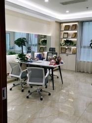 -碧莲盛·不剃发植发