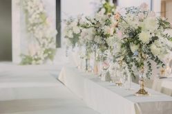 -明典婚礼策划·婚车租赁·婚纱摄影