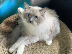 -零纪元VR体验馆·桌游(黄浦店)