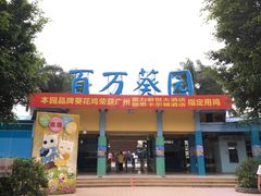 -百万葵园
