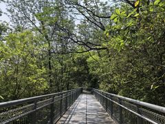-佛山华盖山公园
