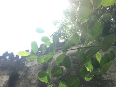 -梅溪牌坊
