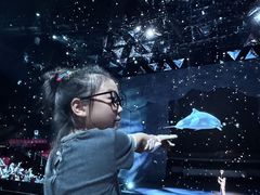 -重庆国际马戏城