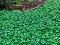 -龙头寺公园