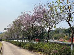 -广州莲花山旅游区