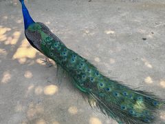 -杭州野生动物世界