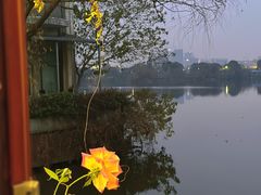 -东湖食堂·湖景餐厅•会议