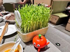 -海底捞火锅(金光华店)