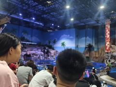 -华夏文旅海洋公园