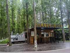 -黄海国家森林公园