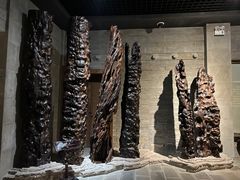 -乐山乌木文化博览苑