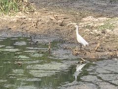 -洱海月湿地公园