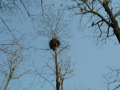 -白塘生态植物园