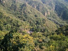 -大岭沟猕猴桃谷风景区