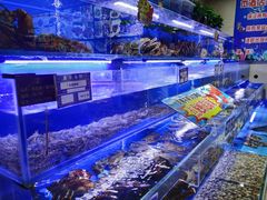 水产区-鹊华居·地道鲁菜·海鲜·融合味(大明湖店)