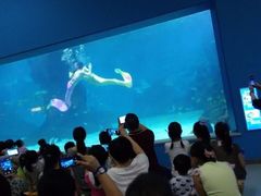 金鹰海洋世界-常州海昌海洋探索馆