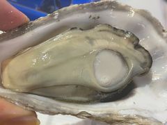 -庞家烧烤客栈(炮台山店)