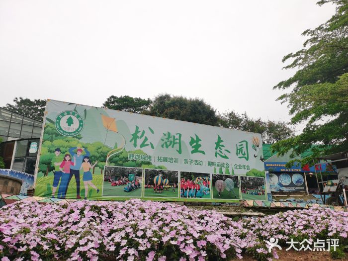 松山湖南湖湾露营营地图片