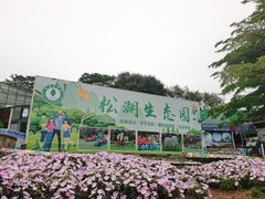 -松山湖南湖湾露营营地