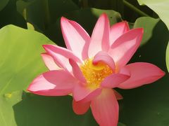 -马家湾湿地公园