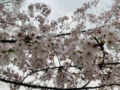 -闵行体育馆-停车场