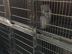 -北京赛佳动物医院