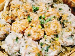 崩大碗蒸土猪肉丸-园林美食城·本土农家菜(杨和镇店)