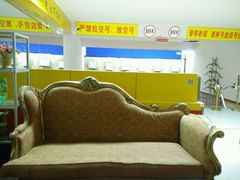 -道顺射箭·团建·骑射(张杨路店)