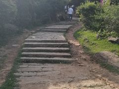 -大姆山草场
