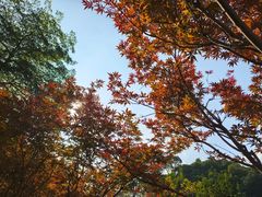 -广州市帽峰山景区