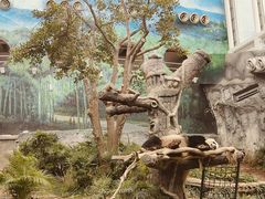 -石排湾郊野公园