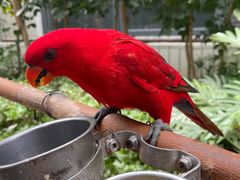 -南宫五洲植物乐园