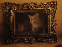 -猫岛主趣味餐厅(鼓浪屿店)