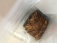 -爸爸糖手工吐司(苏州环球188店)