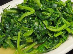 -陈麻婆豆腐(旗舰店)