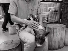 -藦茜花园宠物主题亲子互动体验馆(国顺东路店)