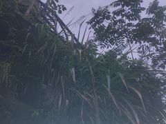 -平江沱龙峡漂流