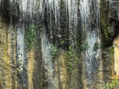 -西双版纳原始森林公园