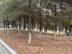 -长春世界雕塑园冰雪艺术天地