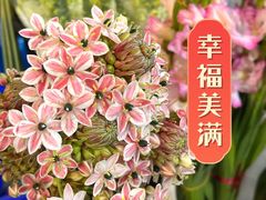 -金汇四季广场