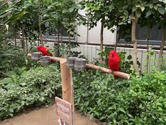 -南宫五洲植物乐园