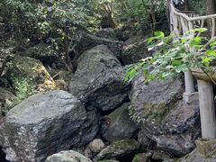 -夏霖九天银瀑风景区
