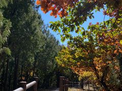 -北京十三陵国家森林公园蟒山景区