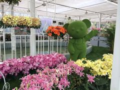iphone_upload_pic-上海鲜花港