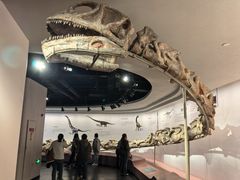 -自贡恐龙博物馆