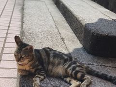 -花姨·老电影院果汁冰(88号店)