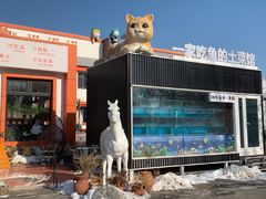 -向外鱼乐·土菜·虹鳟鱼