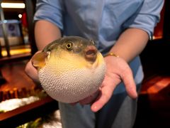 -肆月河豚·淮扬菜·湘菜(华天店)
